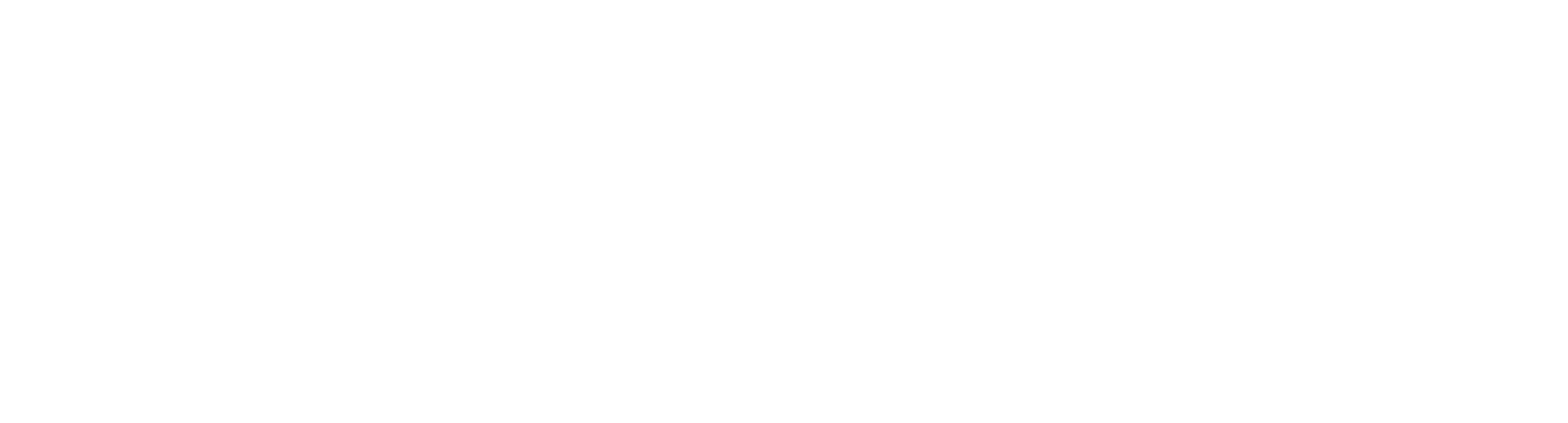 SharanFoundationsLogo